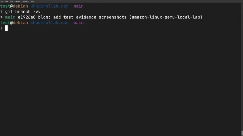 git branch -vv shows no tracking info — expected after filter-repo removed the remote